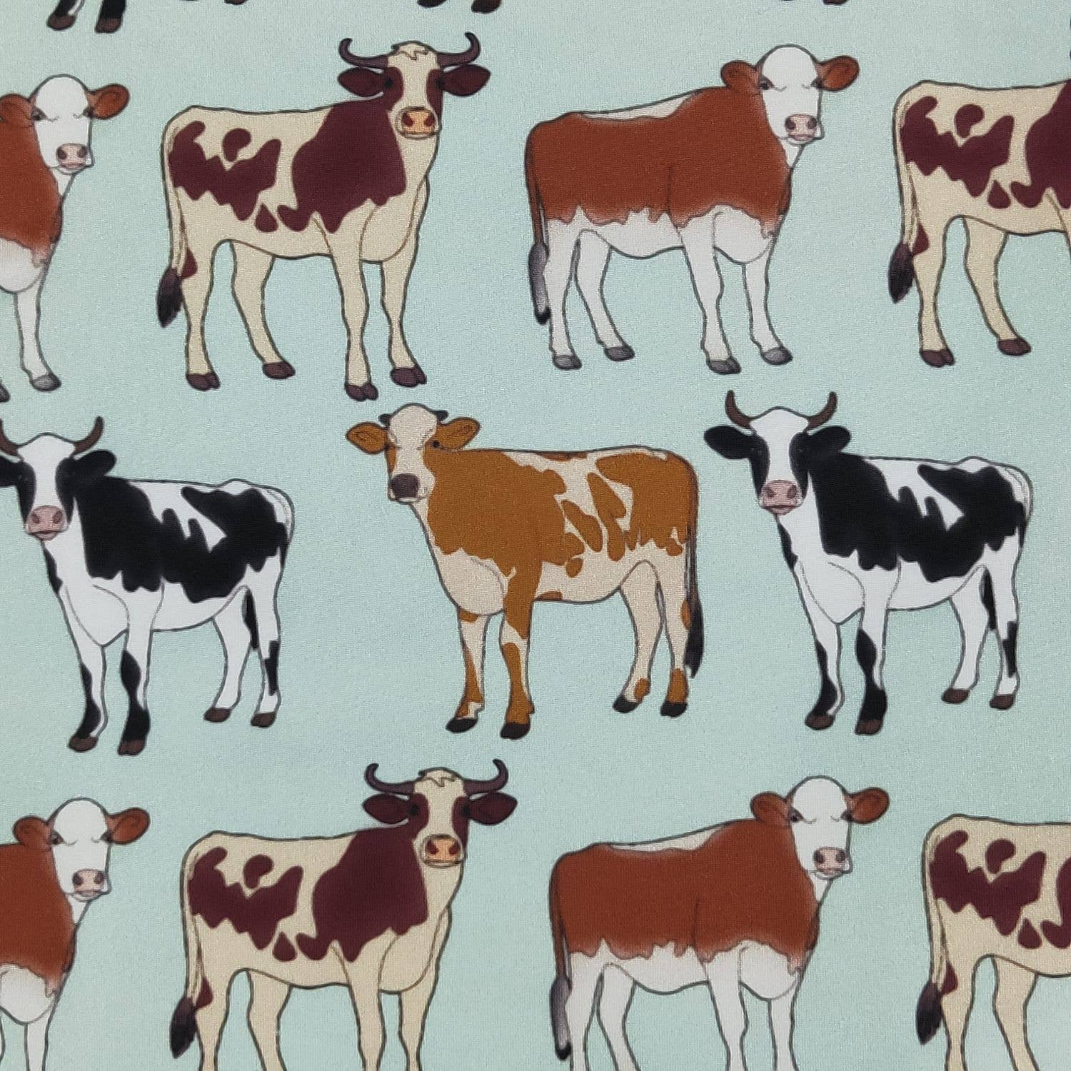 Aqua Cattle Boy Romper